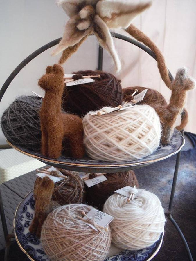 Nariz Monte Frio Alpacasヴィラ エクステリア 写真