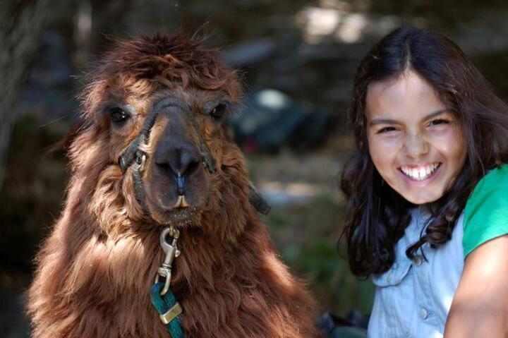 Nariz Monte Frio Alpacasヴィラ エクステリア 写真