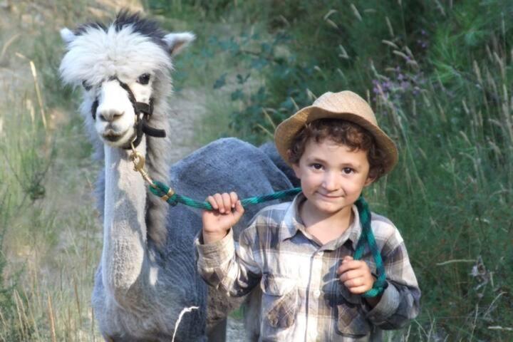 Nariz Monte Frio Alpacasヴィラ エクステリア 写真