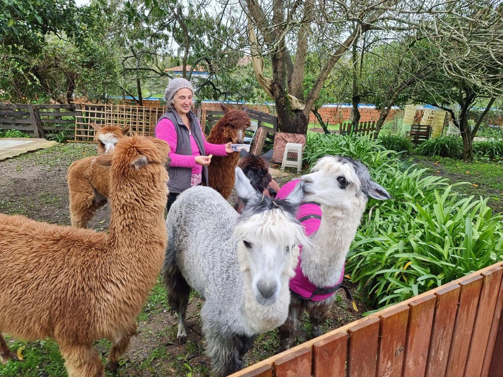 Nariz Monte Frio Alpacasヴィラ エクステリア 写真